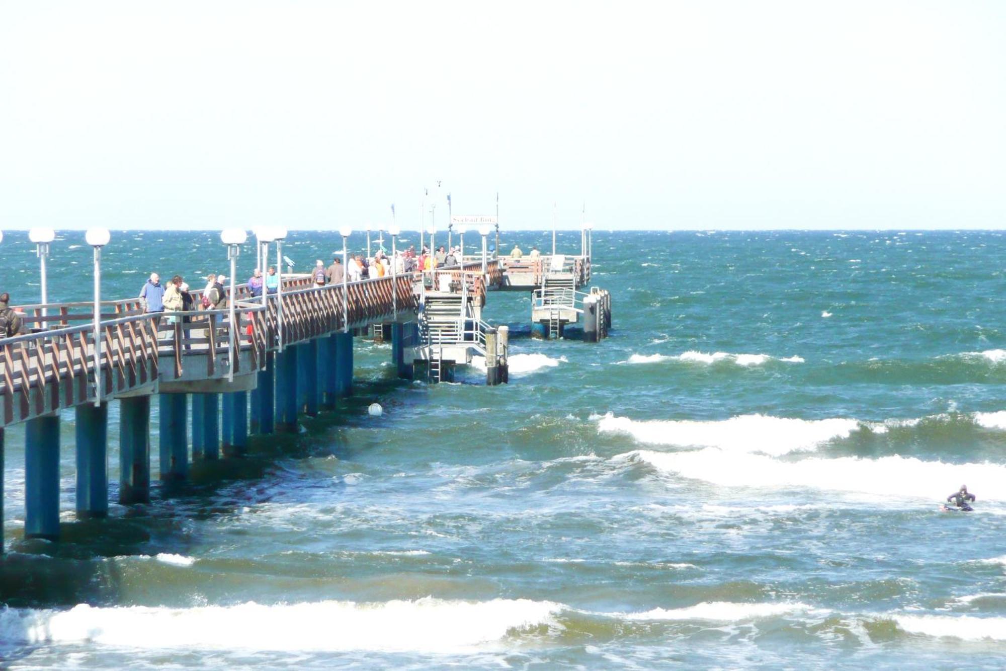 Aparthotel Ostsee Fewo 36 Balkon, Meerblick, Strand 宾茨 外观 照片